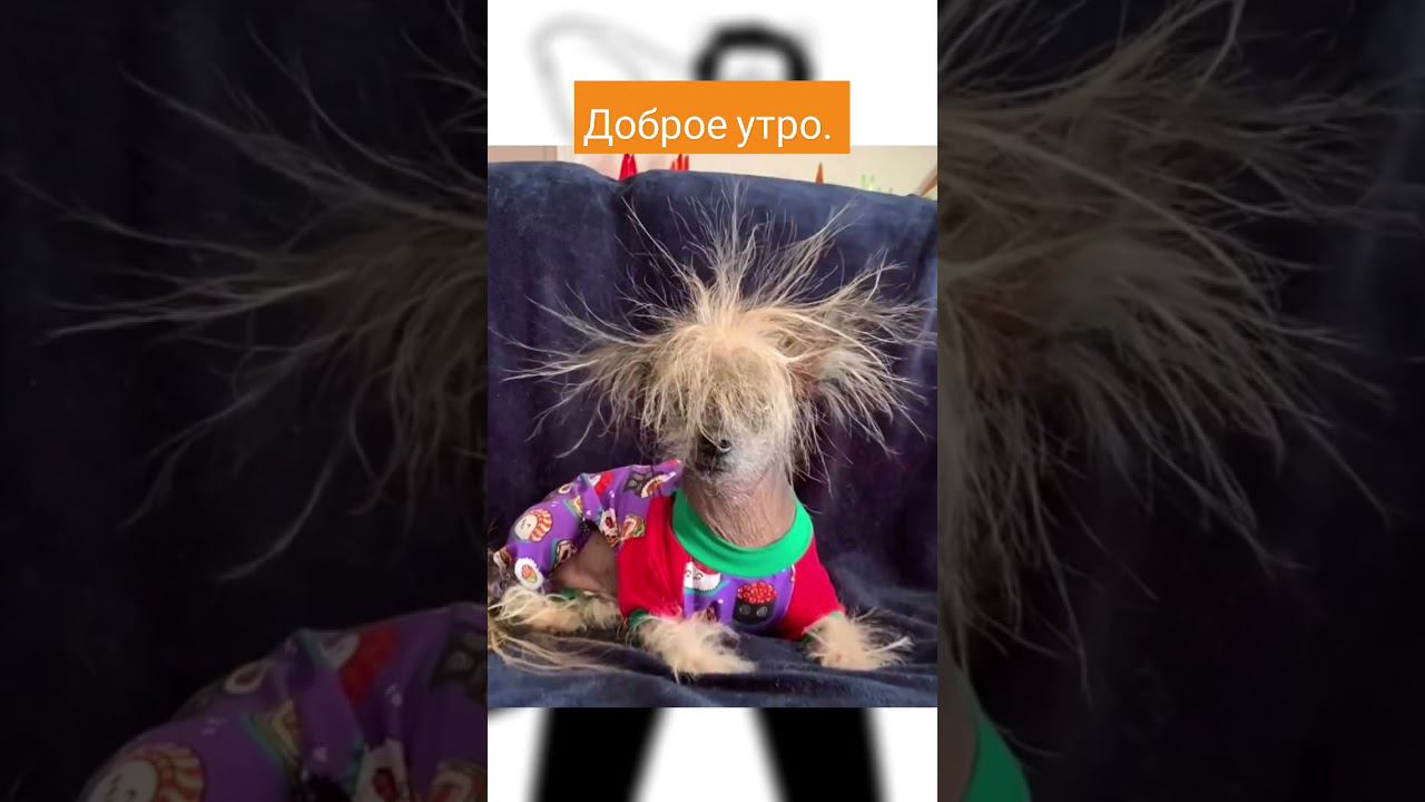 #доброеутро Хороших выходных.