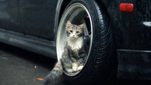 Самая крутая музыка басы без слов и АВ (авторских прав)