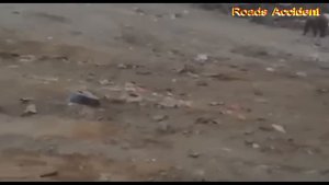 Медведи на городской свалки