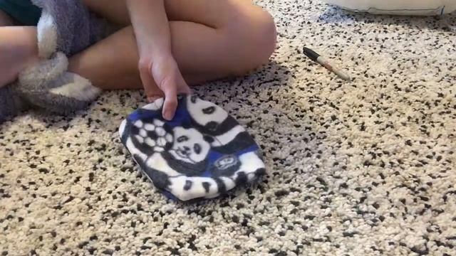 DIY лежанка для морских свинок | своими руками сделала лежак