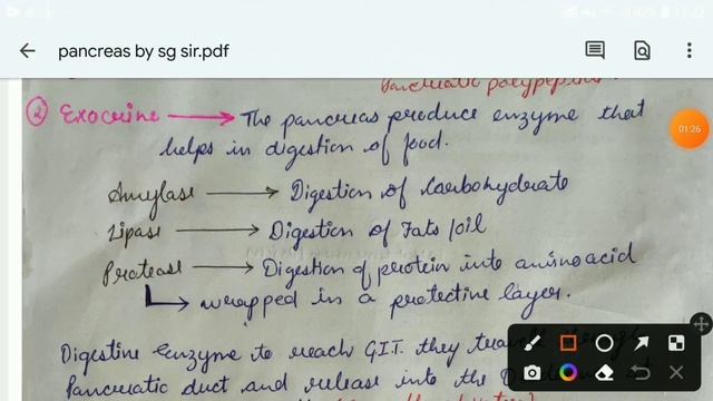 pancreas anatomy and physiology || pancreas function || pancreas notes || pancreas role in digestio смотреть онлайн