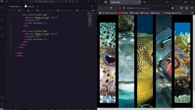 Image Slider HTML CSS And JavaScript | Animated Image Slider | JavaScript Image Slider