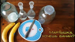 Мартышка, хочешь банан?