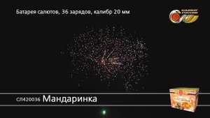 СЛ420036 Мандаринка
