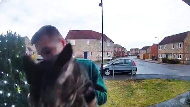 Cat Meow with Different Sounds Part 2 смотреть онлайн