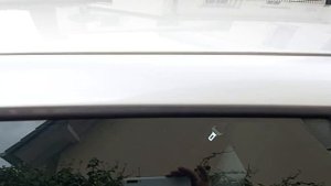 Проданно! Volkswagen Golf 2003 Г.В 1.4 Газ- Бензин! 190000км!