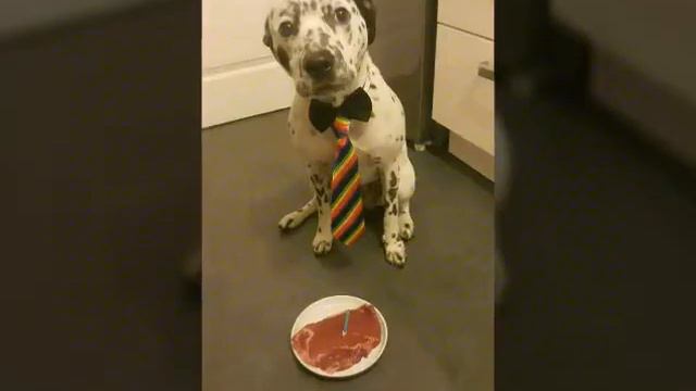 ВТО только не бывает смотреть онлайн