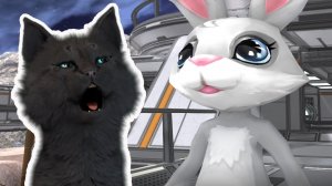 ТЕНЬ СУПЕР КОТА В СУПЕР ГОНКИ РОБИН ? Robin Race!