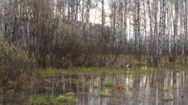 Самодельный вездеход ока на больших колесах.