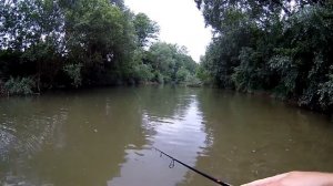 Бюджетный ультралайт-спиннинг.  Kosadaka Stalker 213 UL.