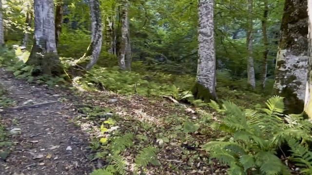 Что такое трейлраннинг? Объяснение на примере Rosa Wild Trail