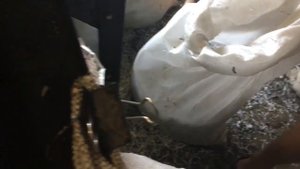 Пласткомпактор Капсулятор DR3R 250 Подвижные Ролики! Plastcompator Capsulator DR3R 250!