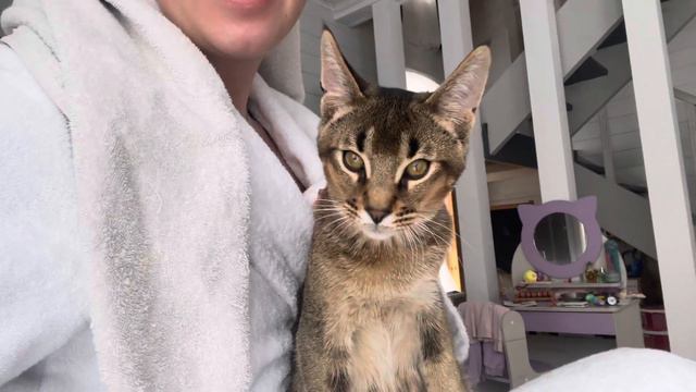 Когда ты мамин любимчик 🥰 Чаузи f4 Кайто смотреть онлайн