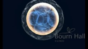 All About Hatching - Bournhall Clinic (Best   IVF Clinic)