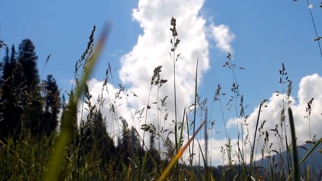 Телецкое озеро, его реки и водопады – места Силы России | Горный Алтай смотреть онлайн