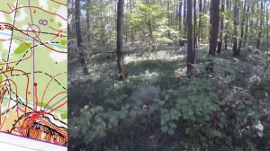 31 08 24, Кубок Клубов 2024, Красные ворота, М18, headcam orienteering