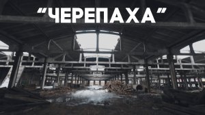 FPV выходного дня