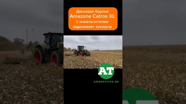 Дисковая борона Amazone Catros XL с измельчителем заделывает кукурузу #amazone #tillage #catros