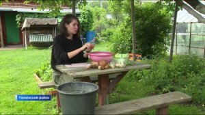 Грибной сезон начался в лесах Тюменской области