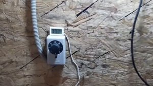 Утепление и обустройство помещения для перепелов.