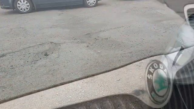 Skoda цены авто из Литвы.