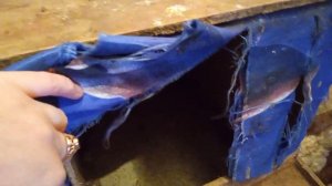 Обзор гнезда с яйцеприёмником. Куры на прогулке.