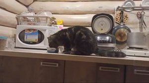 ПРЯМОЙ Эфир С Дачи?