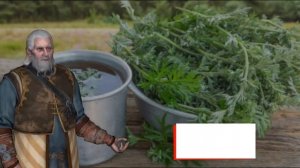 Народное средство от выпадения волос. 15 рецептов для укрепления волос