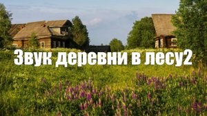 Деревня. Лес. 1 час звуки природы