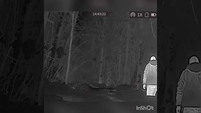 Запись с тепловизионного монокуляра HIKMICRO LYNX PRO LH19 смотреть онлайн