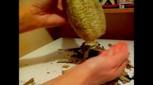 Мочалка из люффы