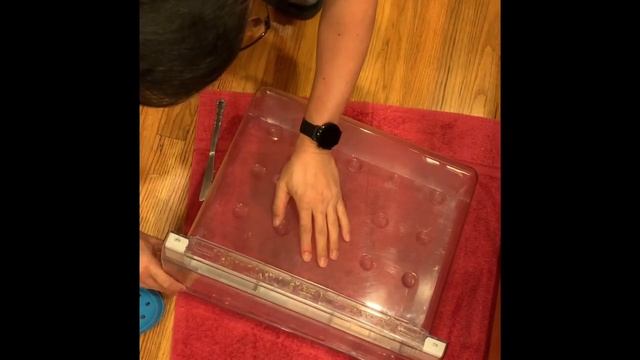 How to dissemble Samsung refrigerator vegetable drawer for cleaning смотреть онлайн