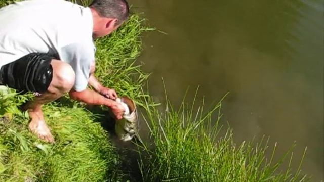 Ловля сома и голавля смотреть онлайн