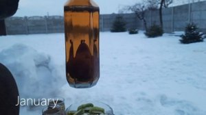 Как это сделано? Груша в бутылке.