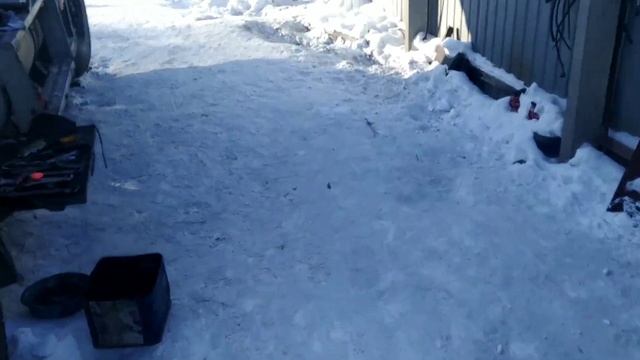 Freightliner Argosy, ямз 7511. Сильфоны это зло!!! смотреть онлайн