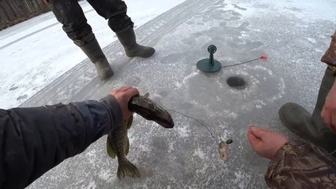 Утопили буксировщик на ПЕРВЫЙ ЛЕД. Ноябрь. Едем на буксировщике. Щука на жерлицы. ЭКСТРЕМАЛЬНО.