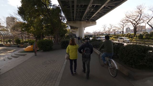 4K・ Сакура на реке Сумида смотреть онлайн