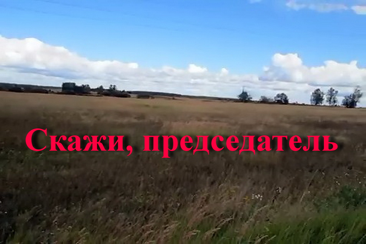 Скажи, председатель