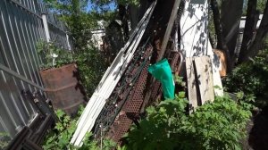 ВЛОГ Алла уезжает в Москву / Новые планы Бориса 21 мая 2018 г.