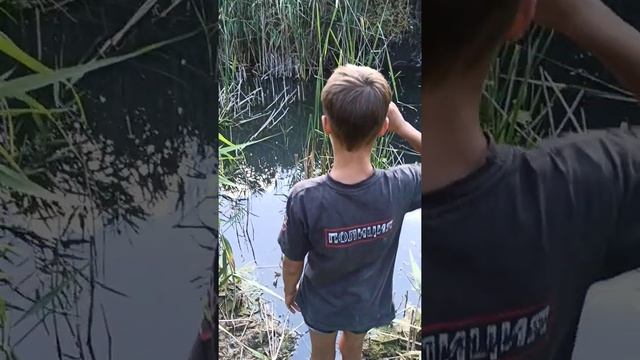 Как поймать черепаху, в пруду,.