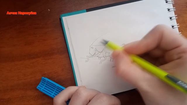 Нарисовать Кузнечика / Как нарисовать кузнечика цветными карандашами / How to draw a grasshopper смотреть онлайн