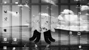 всему конец Cat•Asya °Russia°