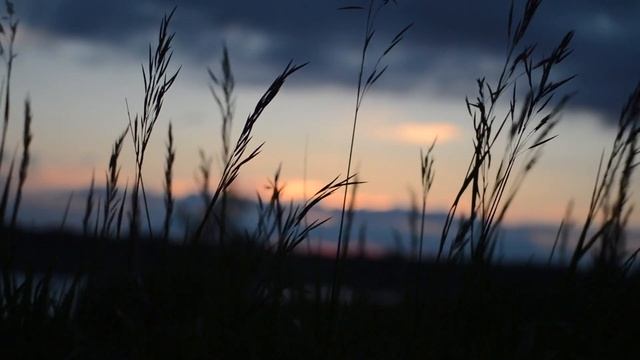 Стихия Ветер или рассказ про то, как ветер дает энергию смотреть онлайн