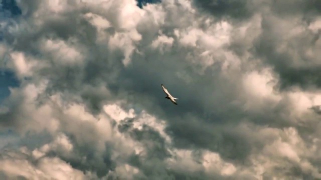 Прошлое лето смотреть онлайн