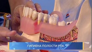 Гигиена полости рта. Школа здоровья. GuberniaTV