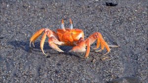 At the beach | English listening with subtitles