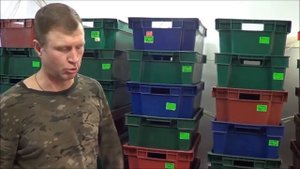 ТТ60 Картон Червями Перерабатываем в Биогумус ККЧТ-это Красные Калифорнийские Черви Ткаченко