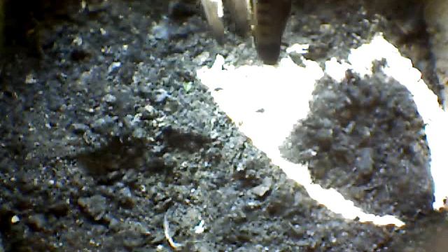 From Internet Camera(Turmfalken[03:1A:A5])2014/07/13,17:54:23_D смотреть онлайн