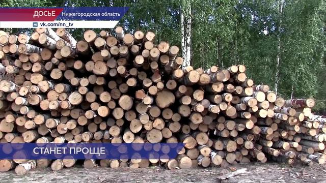 Возможность упростить выдачу разрешений на лесозаготовку для жителей области обсудили в Заксобрании