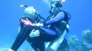 Дайвинг на годовщину свадьбы. Red sea diving.